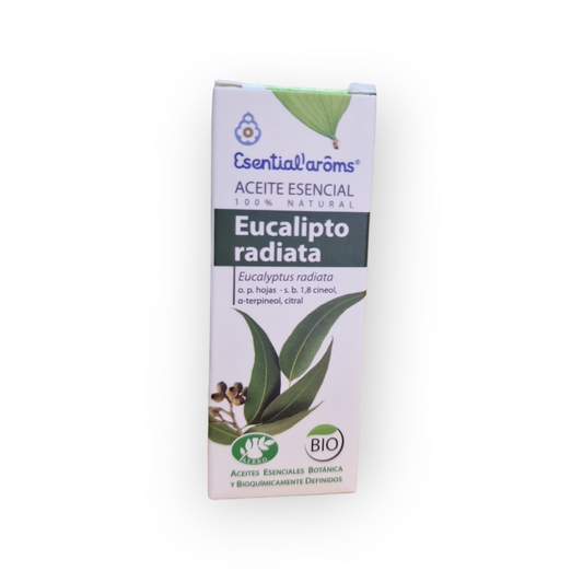 Aceite esencial de eucalipto radiata - BIO